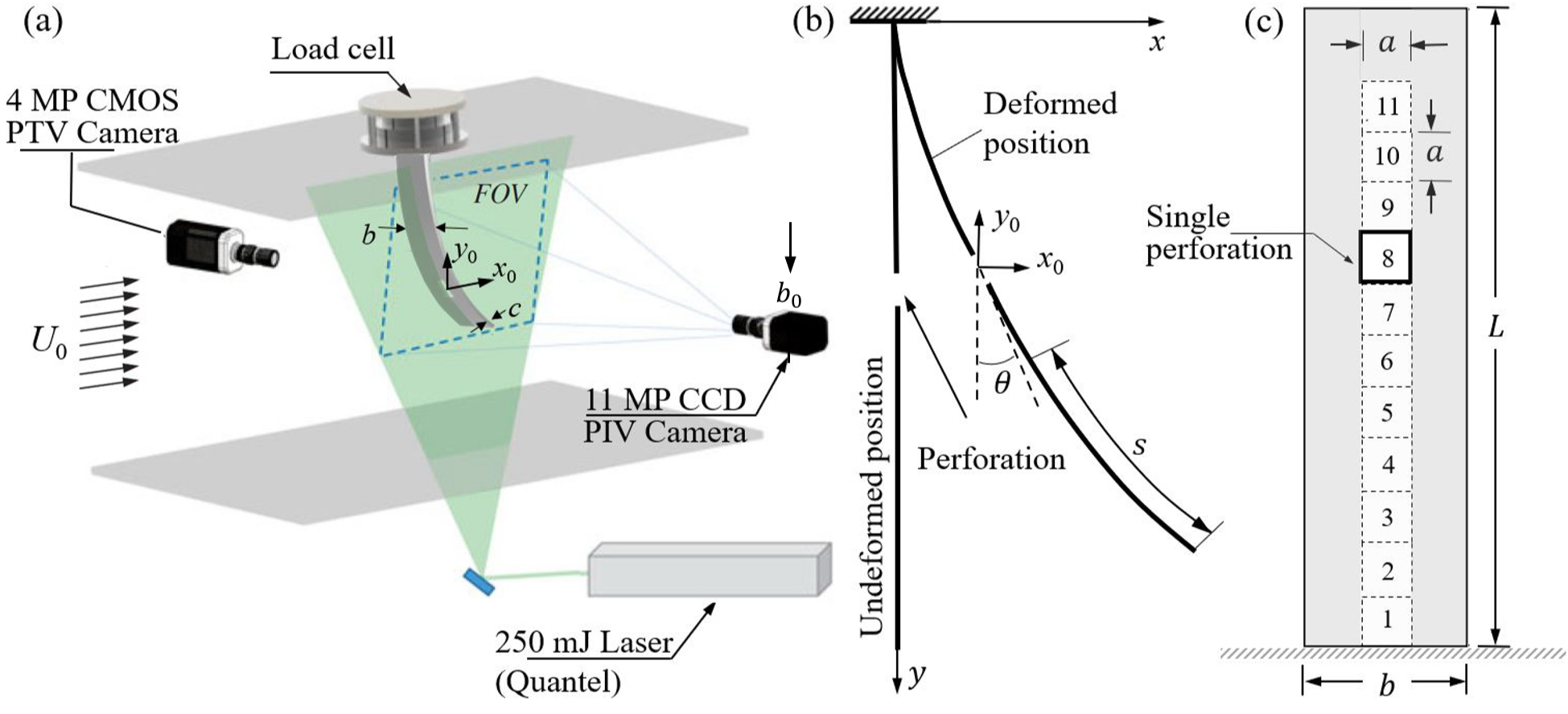 Complex FSI 1