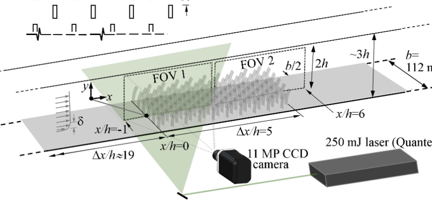 Complex FSI 2