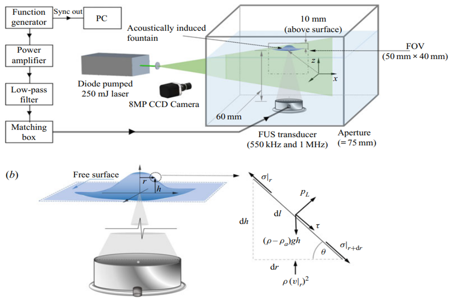 General Fluid Dynamics 1